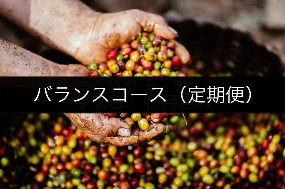 バランスコース (定期便)