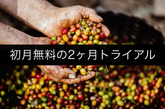 バランスコース