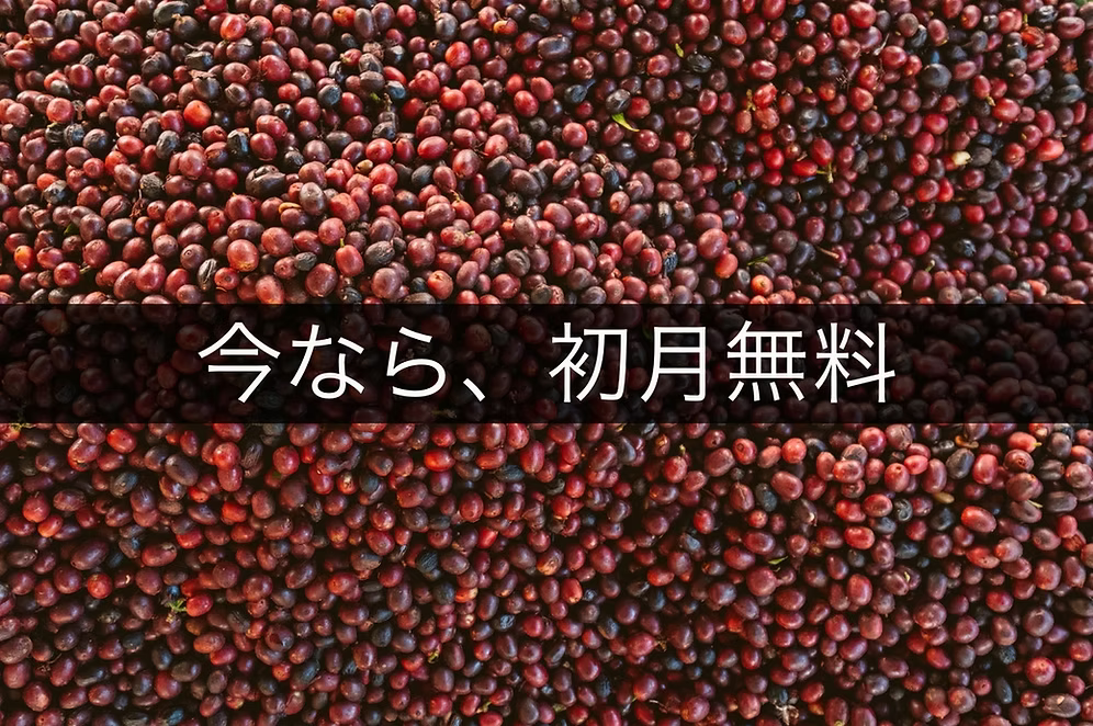 浅&中煎りコース