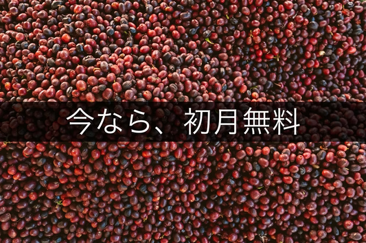 浅&中煎りコース