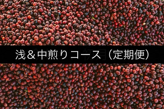 【定期便】浅＆中煎りコース