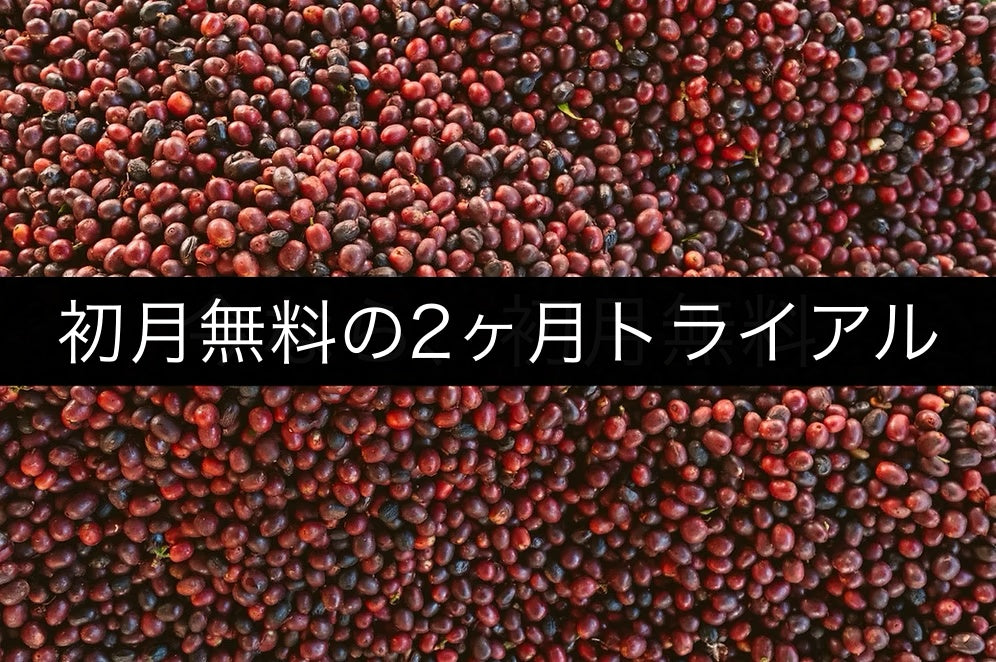 浅&中煎りコース