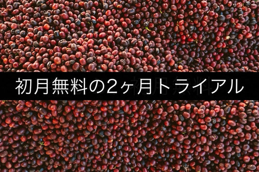 浅&中煎りコース