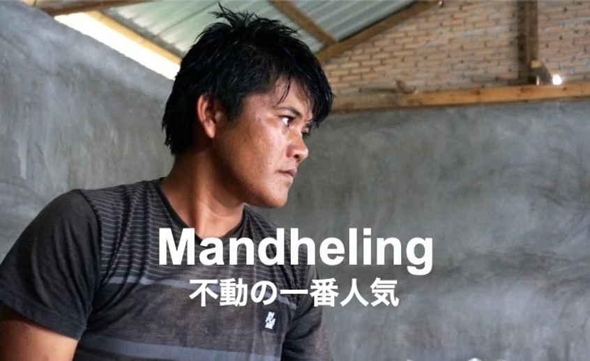 【ギフト箱入り】人気の３銘柄飲み比べギフトセット