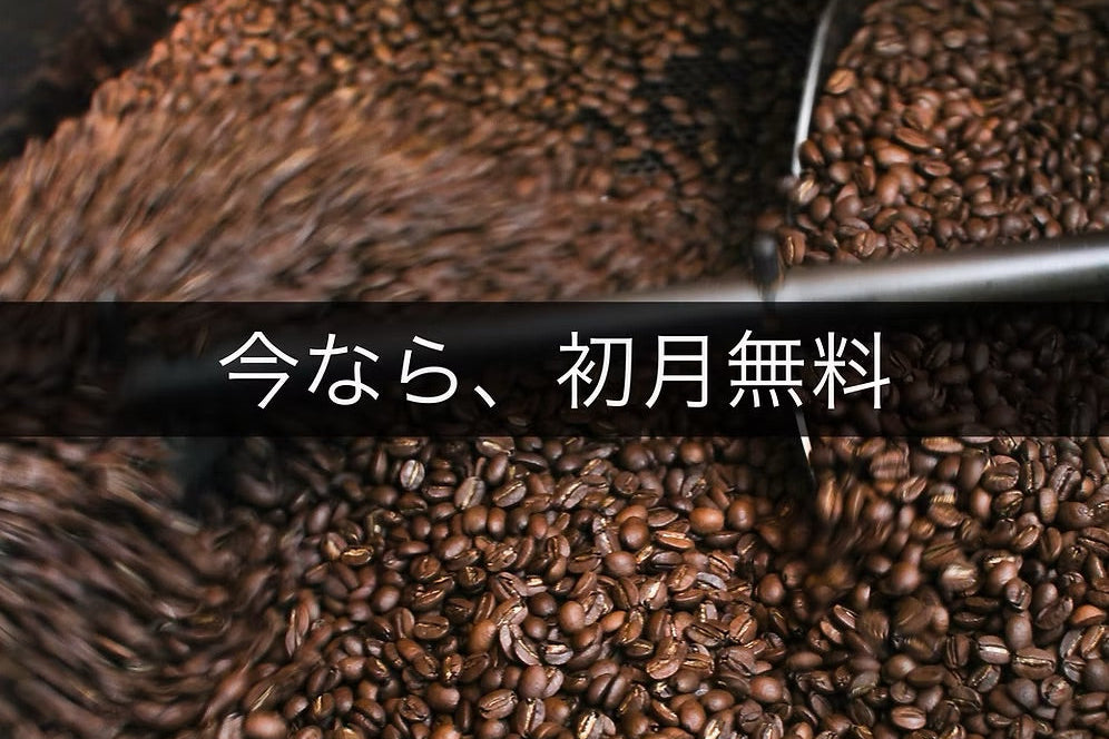 深&中煎りコース