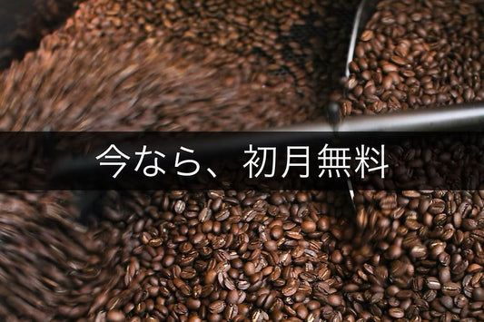 深&中煎りコース