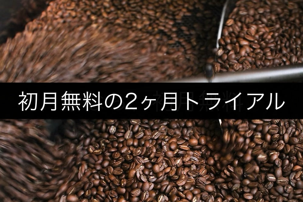 深&中煎りコース