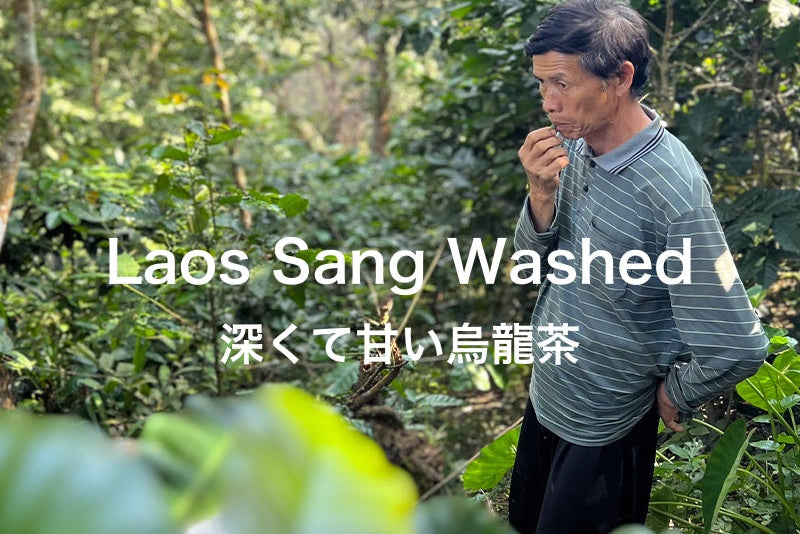 【中深煎り】ラオス サーン ウォッシュド 200g